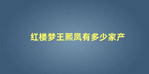 红楼梦王熙凤有多少家产