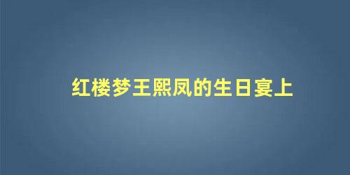 红楼梦王熙凤的生日宴上