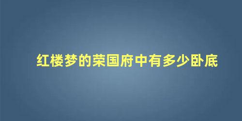 红楼梦的荣国府中有多少卧底