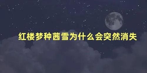 红楼梦种茜雪为什么会突然消失