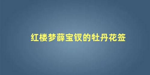 红楼梦薛宝钗的牡丹花签