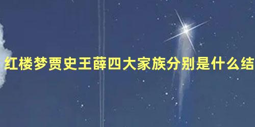 红楼梦贾史王薛四大家族分别是什么结局