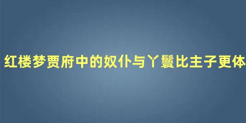 红楼梦贾府中的奴仆与丫鬟比主子更体面