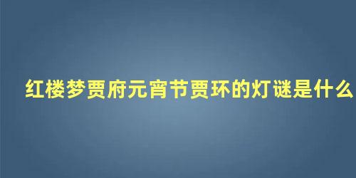 红楼梦贾府元宵节贾环的灯谜是什么