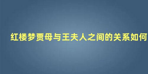 红楼梦贾母与王夫人之间的关系如何