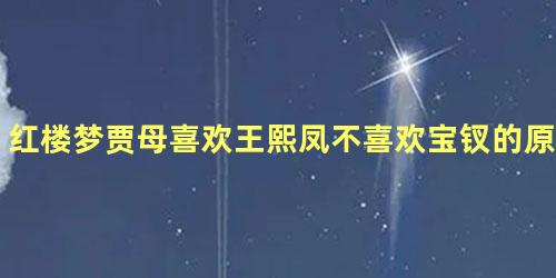 红楼梦贾母喜欢王熙凤不喜欢宝钗的原因是什么