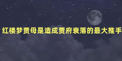 红楼梦贾母是造成贾府衰落的最大推手吗