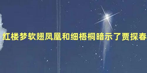 红楼梦软翅凤凰和细梧桐暗示了贾探春的人生结局