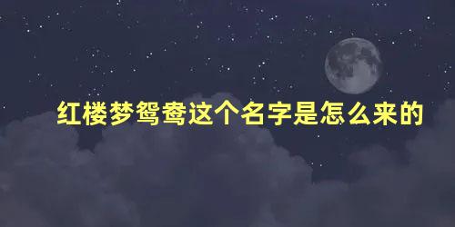 红楼梦鸳鸯这个名字是怎么来的