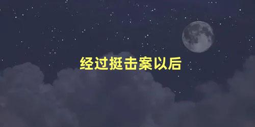 经过挺击案以后