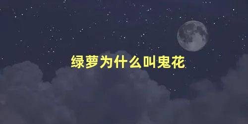 绿萝为什么叫鬼花