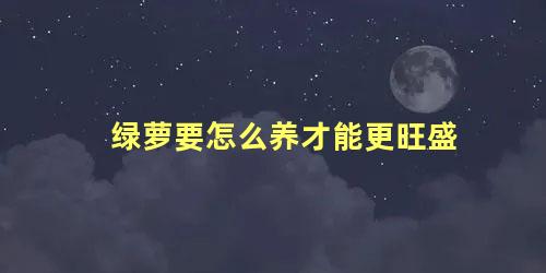 绿萝要怎么养才能更旺盛