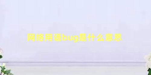 网络用语bug是什么意思