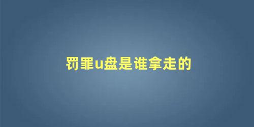 罚罪u盘是谁拿走的