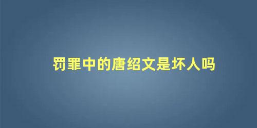 罚罪中的唐绍文是坏人吗