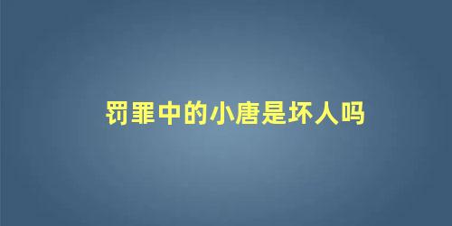 罚罪中的小唐是坏人吗