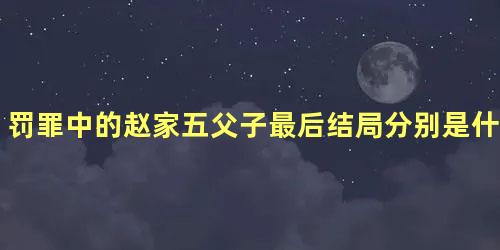 罚罪中的赵家五父子最后结局分别是什么样的