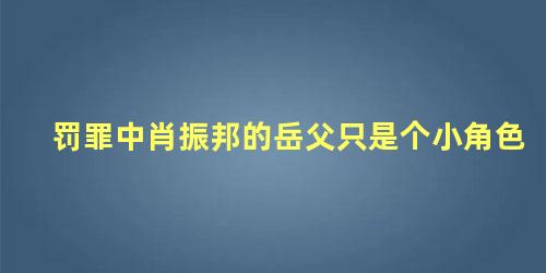 罚罪中肖振邦的岳父只是个小角色