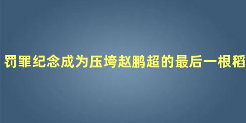 罚罪纪念成为压垮赵鹏超的最后一根稻草