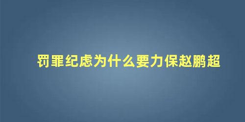 罚罪纪虑为什么要力保赵鹏超