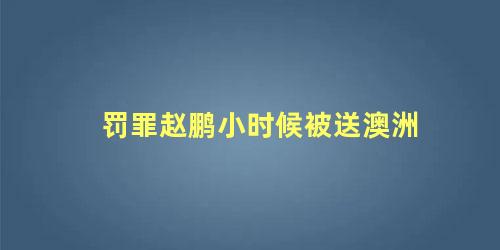 罚罪赵鹏小时候被送澳洲