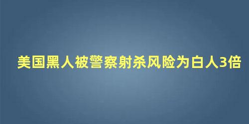 美国黑人被警察射杀风险为白人3倍