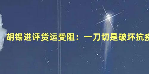 胡锡进评货运受阻：一刀切是破坏抗疫