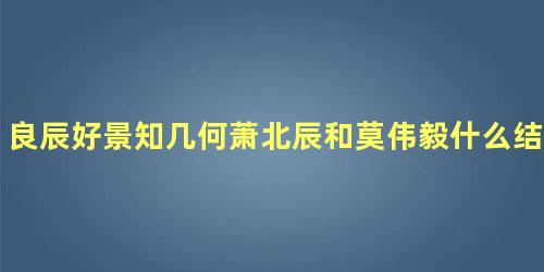 良辰好景知几何萧北辰和莫伟毅什么结局