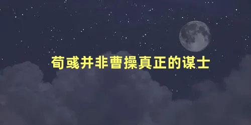 荀彧并非曹操真正的谋士