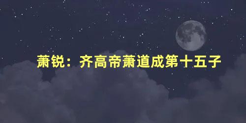 萧锐：齐高帝萧道成第十五子