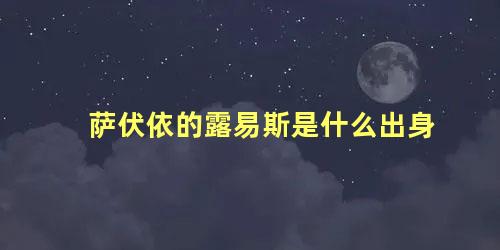 萨伏依的露易斯是什么出身