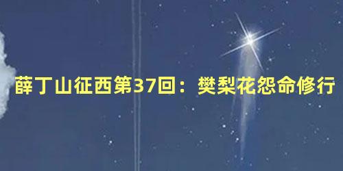 薛丁山征西第37回：樊梨花怨命修行