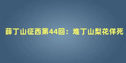 薛丁山征西第44回：难丁山梨花佯死