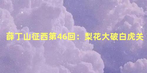 薛丁山征西第46回：梨花大破白虎关