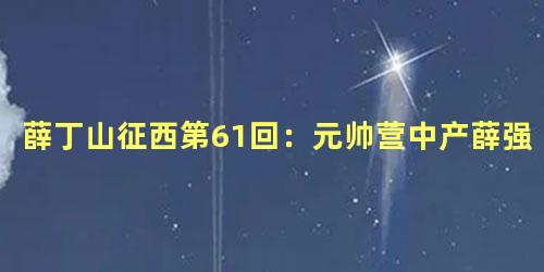 薛丁山征西第61回：元帅营中产薛强