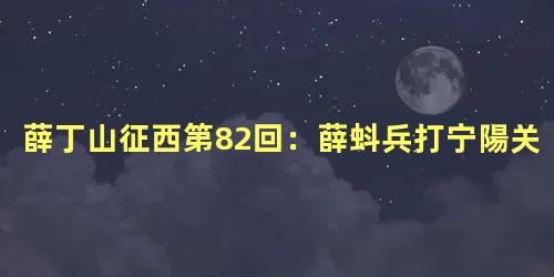 薛丁山征西第82回：薛蚪兵打宁陽关