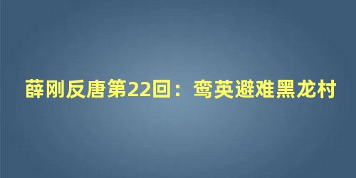 薛刚反唐第22回：鸾英避难黑龙村