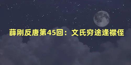 薛刚反唐第45回：文氏穷途逢襟侄