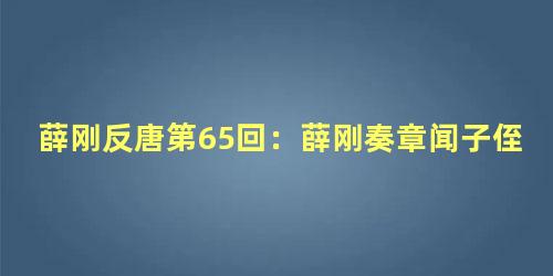 薛刚反唐第65回：薛刚奏章闻子侄