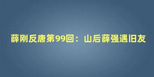 薛刚反唐第99回：山后薛强遇旧友