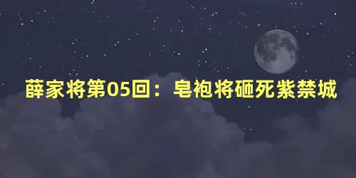 薛家将第05回：皂袍将砸死紫禁城