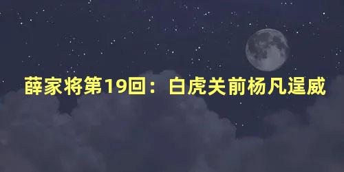 薛家将第19回：白虎关前杨凡逞威