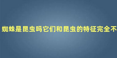 蜘蛛是昆虫吗它们和昆虫的特征完全不相符