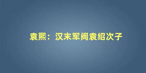 袁熙：汉末军阀袁绍次子