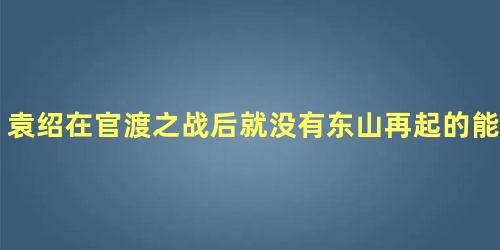 袁绍在官渡之战后就没有东山再起的能力了