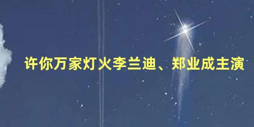 许你万家灯火李兰迪、郑业成主演