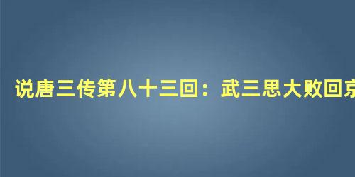 说唐三传第八十三回：武三思大败回京