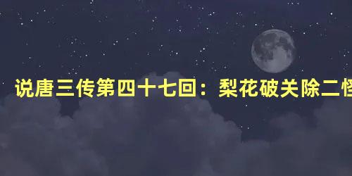 说唐三传第四十七回：梨花破关除二怪