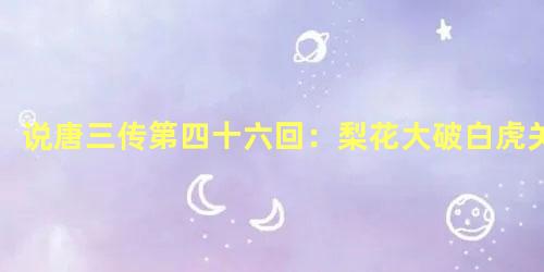 说唐三传第四十六回：梨花大破白虎关