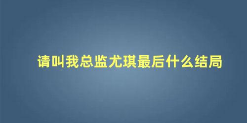 请叫我总监尤琪最后什么结局